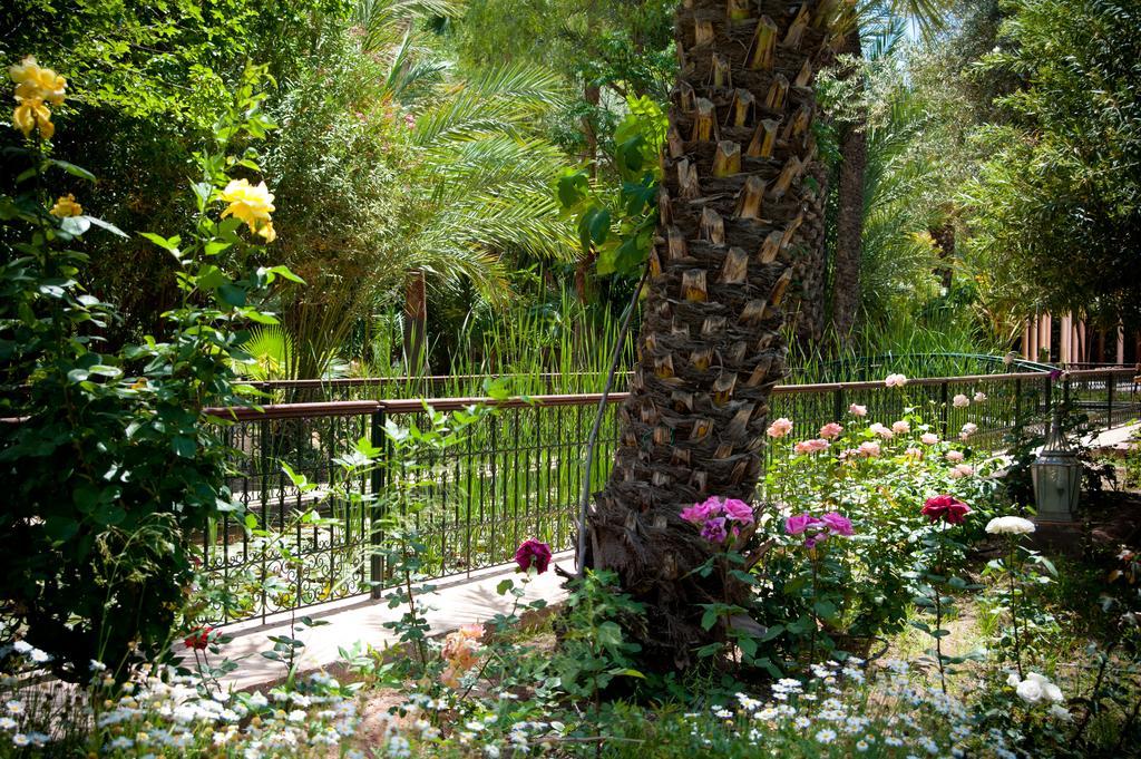 Dar Ayniwen Garden Hotel & Bird Zoo Марракеш Экстерьер фото